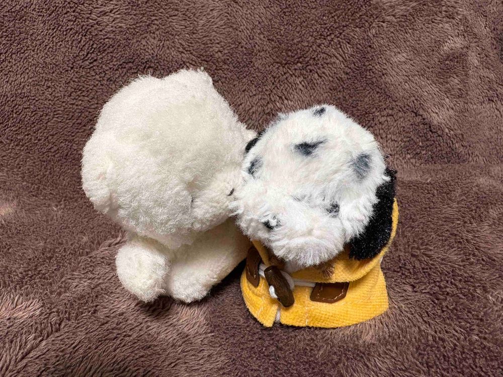 あ、あ、あ、あくむをみたぞ…！
かわいいかわいい　わがおとうとのちあが　グレたゆめをみたんだ！
「オレはちびなんてキライだ！いえをでていくぜ！」
っていわれたんだ！
ちあー！！！いっしょうグレないでくれ！ちびの　かわいいおとうとで　いてくれ！