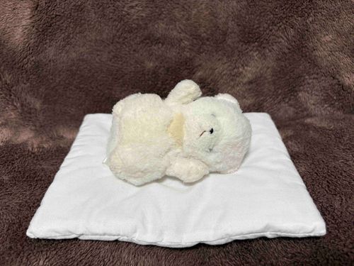 あ、あ、あ、あくむをみたぞ…！
かわいいかわいい　わがおとうとのちあが　グレたゆめをみたんだ！
「オレはちびなんてキライだ！いえをでていくぜ！」
っていわれたんだ！
ちあー！！！いっしょうグレないでくれ！ちびの　かわいいおとうとで　いてくれ！