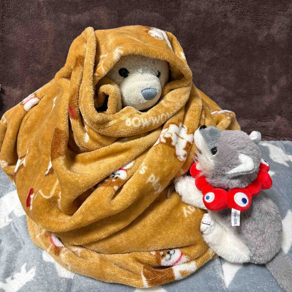 けあのところは今日の最低気温が氷点下になったよ。
あまりに寒くてモンブランになったんだ。
そしたらおおくんがやってきたよ。
一緒にぬくぬくだね。オオカミにとってもこの寒さは耐えられないかな。