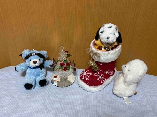 ちあのおうちもクリスマス仕様にしたよ✨
去年はちびがブーツから出てこなくて苦労したからね💦今年はちあが先に入って防ぐことにしたよ🤣
ちびに抗議されたけど聞こえない🙉