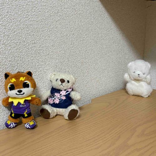 はこねえきでんにむけて　てつこんくんとりくワンが　はしりこんでたぞ！
ちびも　さんかしたけど　ついていけなかったぞ！
とちゅうでダウンだ！つかれたぞ！