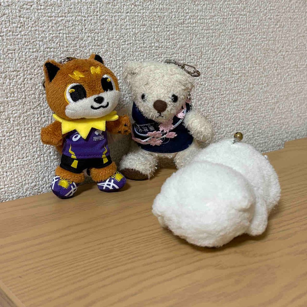 はこねえきでんにむけて　てつこんくんとりくワンが　はしりこんでたぞ！
ちびも　さんかしたけど　ついていけなかったぞ！
とちゅうでダウンだ！つかれたぞ！