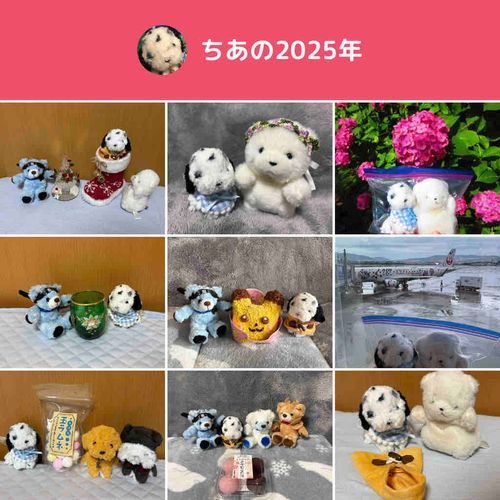 みんな今年も仲良くしてくれてありがとう😊
ちあはいつもほかのふわもこと写ってるね🤭
また来年も仲良くしてね✨
