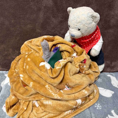 寒いからモンブランになろうとしたら先客がいたよ。
しかたない。一緒にあったまってあげよう。
寒い日にはモンブランモードが一番だね。
