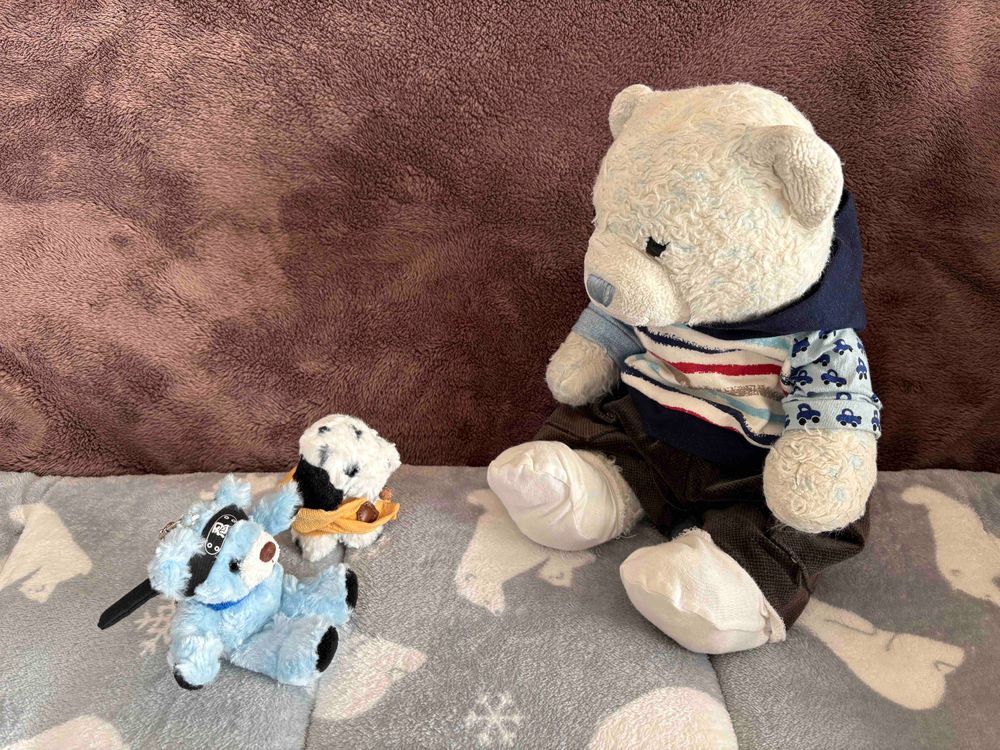 おやがふるさと納税したフルーツ大福が届いたよ✨
みんなに分けようと思って開けてみたら、一個足りない‼️
犯人はけあだね😩問い詰めたら「美味しそうだったからつい…」って言ってたよ💦
困ったお兄ちゃんだ😩