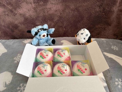 おやがふるさと納税したフルーツ大福が届いたよ✨
みんなに分けようと思って開けてみたら、一個足りない‼️
犯人はけあだね😩問い詰めたら「美味しそうだったからつい…」って言ってたよ💦
困ったお兄ちゃんだ😩
