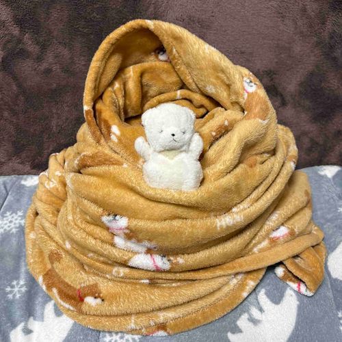 けあのぬけあなを　はっけんだ！
なかにはいって　おどろかせるぞ！
なんだか　あったかくて　きもちいいな…💤
はっ！おどろかすまえに　けあにみつかったぞ！
けあにつかまって　いっしょにぬくぬくだ！