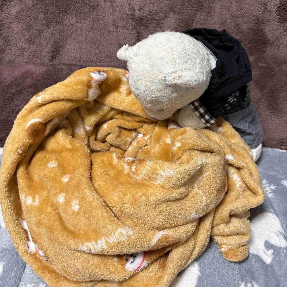 おおくんのマネして、けあも頭から突っ込んでモンブランになろう。
わわわ。動けなくなっちゃった。どうしよう。
ふう。おやに救出してもらったよ。
慣れないことはすべきじゃないね。
これからはいつも通り足から入るよ。
ちなみにけあの住んでる宮城はなぜか雪積もらなかったよ。