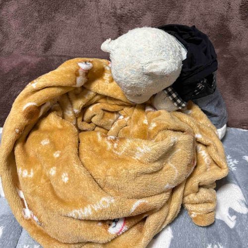 おおくんのマネして、けあも頭から突っ込んでモンブランになろう。
わわわ。動けなくなっちゃった。どうしよう。

ふう。おやに救出してもらったよ。
慣れないことはすべきじゃないね。
これからはいつも通り足から入るよ。

ちなみにけあの住んでる宮城はなぜか雪積もらなかったよ。