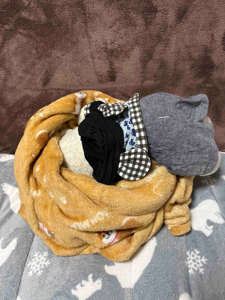 おおくんのマネして、けあも頭から突っ込んでモンブランになろう。
わわわ。動けなくなっちゃった。どうしよう。
ふう。おやに救出してもらったよ。
慣れないことはすべきじゃないね。
これからはいつも通り足から入るよ。
ちなみにけあの住んでる宮城はなぜか雪積もらなかったよ。