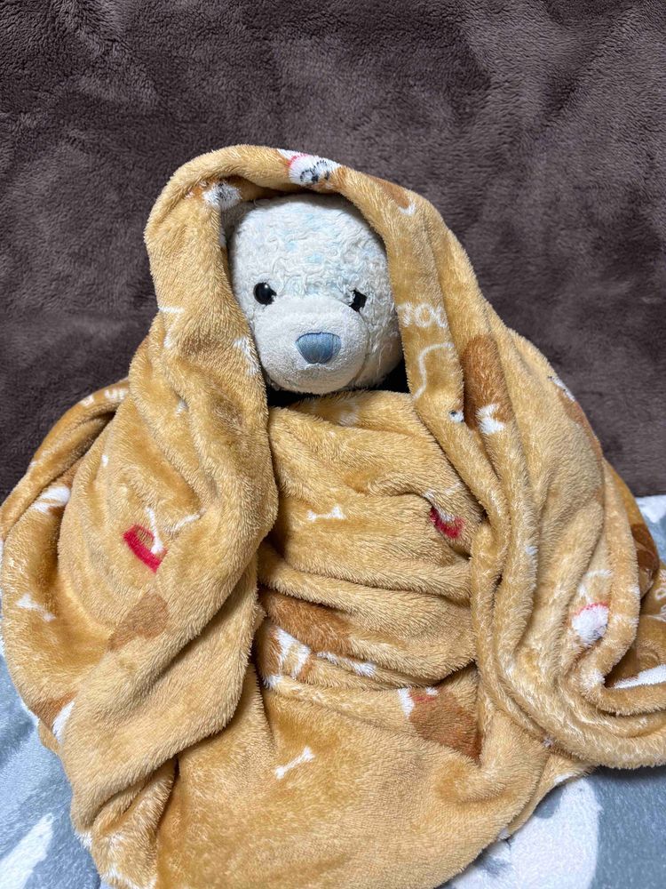 おおくんのマネして、けあも頭から突っ込んでモンブランになろう。
わわわ。動けなくなっちゃった。どうしよう。
ふう。おやに救出してもらったよ。
慣れないことはすべきじゃないね。
これからはいつも通り足から入るよ。
ちなみにけあの住んでる宮城はなぜか雪積もらなかったよ。