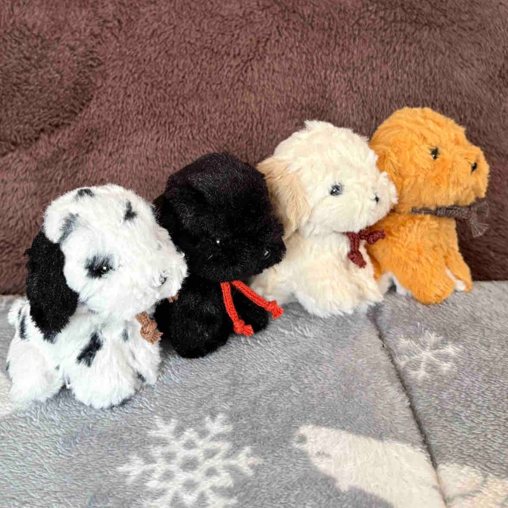 今日はわんズで雛人形の準備をしたよ✨
終わったらみんなで吠える練習🐶
うまくワンワンってできないんだ😣コツとかあるのかな❓