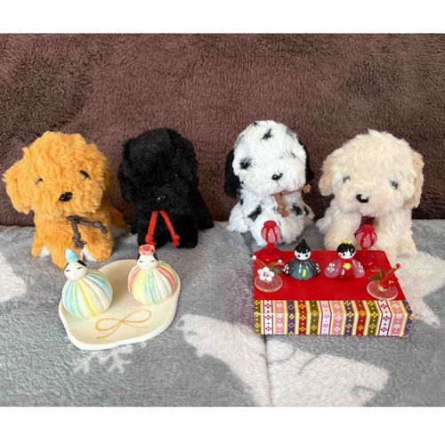 今日はわんズで雛人形の準備をしたよ✨
終わったらみんなで吠える練習🐶
うまくワンワンってできないんだ😣コツとかあるのかな❓