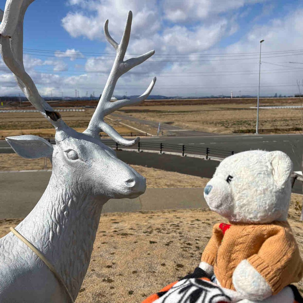 今日はおやのおでかけに付き合ってあげたよ。
1枚目は温泉。けあはロッカーに閉じ込められて不服だったよ。
2枚目のシカさん、似てる子が万博にいなかった？
3枚目の海鮮丼はこれで1400円。お得だね。
4枚目は贅沢いちごパフェ。これがすごく美味しくておかわりしたいって言ったら「高いからダメ」っておやに断られたよ。