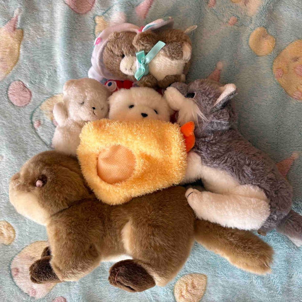 タイヘンだ！でかが　ぐあいわるそうにしてるぞ！
ちびのエビフライのふくを　おふとんにつかってくれ！おおくんも　くびわをかしてくれたぞ！
あとは　みんなでいっしょにねるぞ！ねればよくなる！かんびょうは　まかせてくれ！