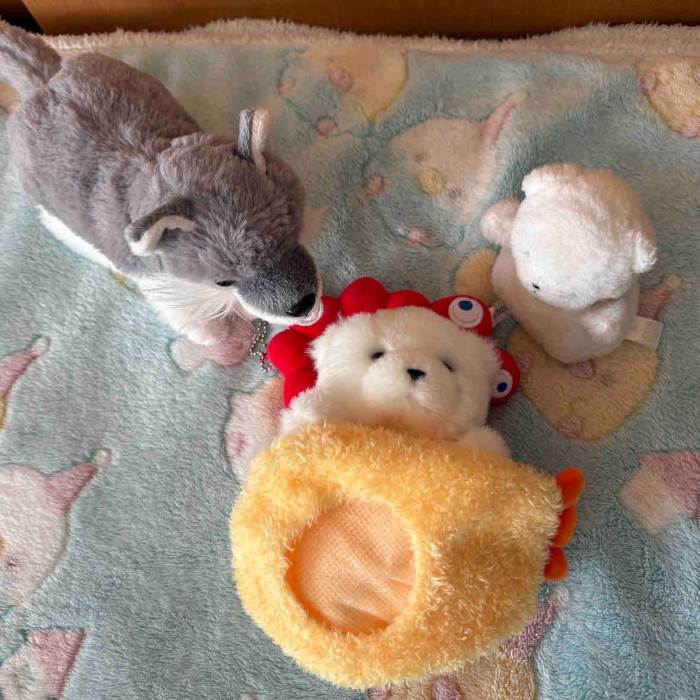 タイヘンだ！でかが　ぐあいわるそうにしてるぞ！
ちびのエビフライのふくを　おふとんにつかってくれ！おおくんも　くびわをかしてくれたぞ！
あとは　みんなでいっしょにねるぞ！ねればよくなる！かんびょうは　まかせてくれ！