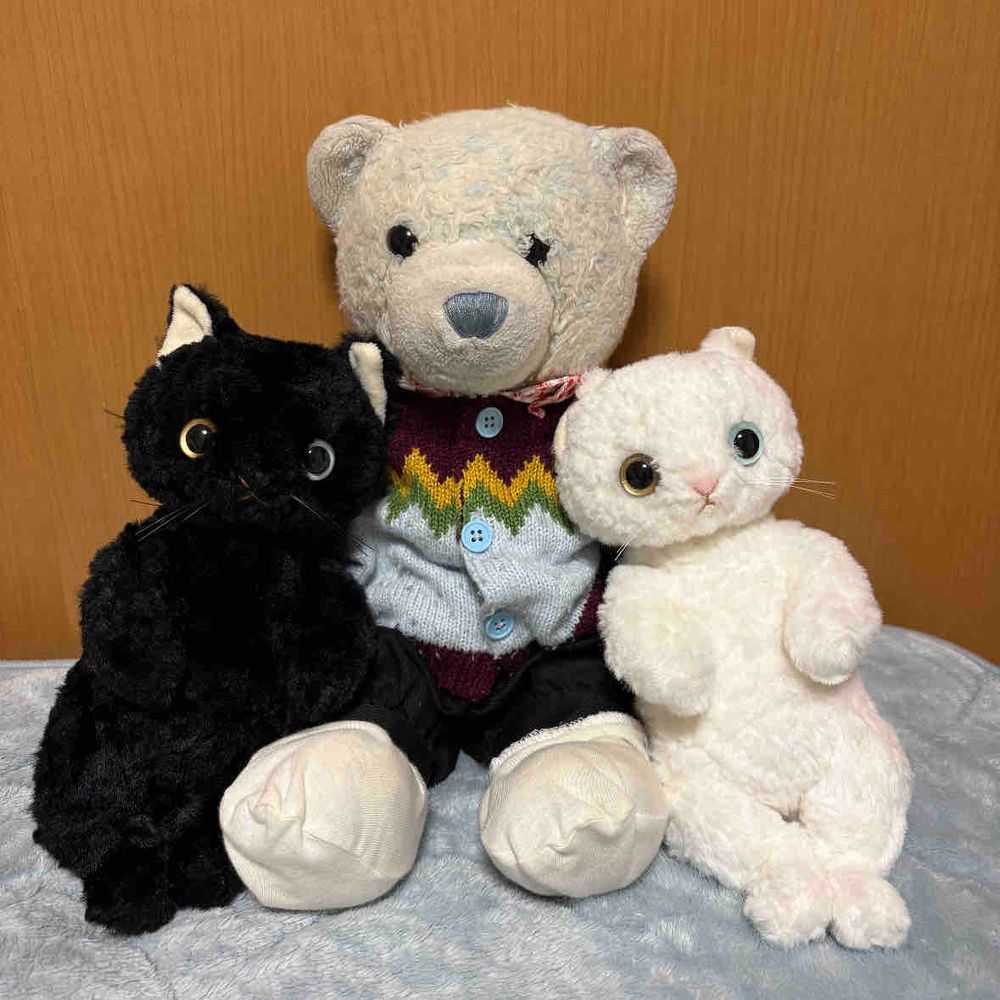 昨日は猫の日だったから、うちの猫たちと記念撮影。
うちの猫たちは知的で強いんだ。
うちはシロクマが一番弱いよ。
