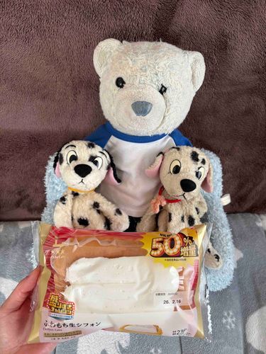 そういや盛りすぎシフォンケーキもゲットしてたよ。
膝のうえの101匹わんちゃんは、見ての通りけあより大先輩。特に右の子の汚れ具合をみると、けあはまだまだひよっこだと思い知らされるよ。