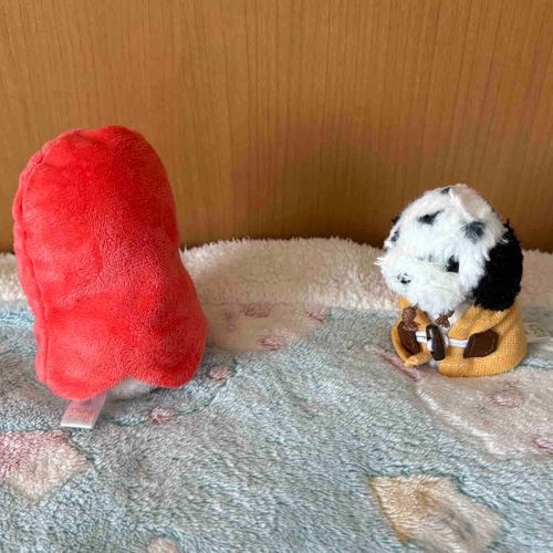 初めて見る後ろ姿✨新しい家族かな❓
ちあだよ、よろしくね❣️

「ばあ！！！」

ビックリした😳ちびの仮装だったよ😫
驚かさないで‼️

なぜかちあも着せられたけど…似合ってないでしょ💦