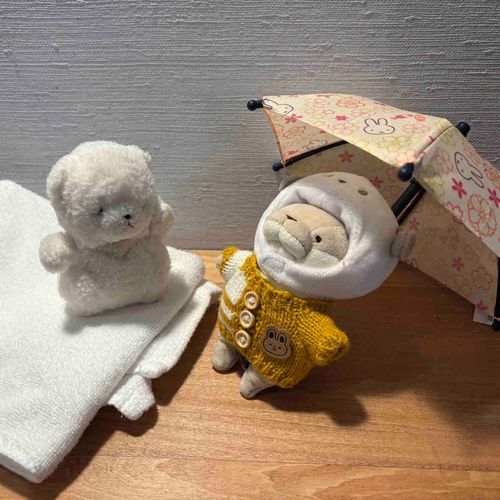 おいもん！そのかさ　かしてくれ！
「いいよ〜」
ありがとう！おんにきるぞ！
ちあと　トトロごっこだ！ねこばす　はやくきてくれ！

おいもんは　かぞくじゃないけど　ちびのかぞくタグつけるぞ！
