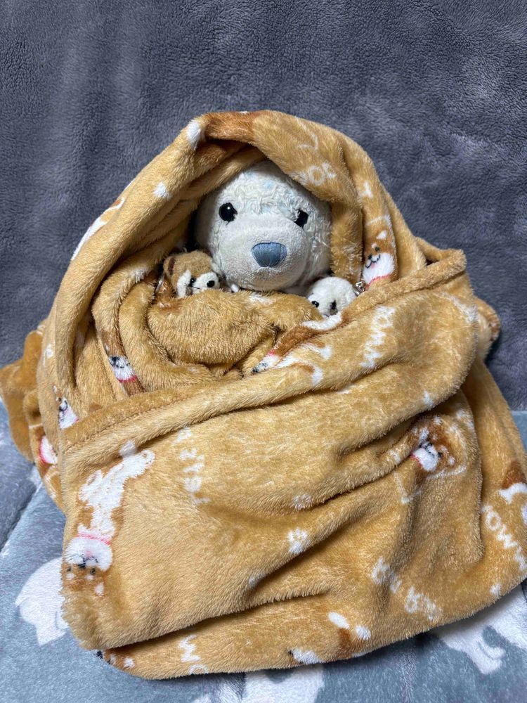 今日は寒い。昼は雪が降ってたよ。
モンブランになってたら珍しい2匹がやってきたよ。
モンブランの中にいれたらすぐ寝ちゃった。ぽかぽかだから仕方ないね。