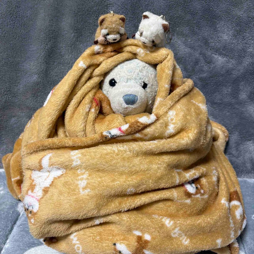 今日は寒い。昼は雪が降ってたよ。
モンブランになってたら珍しい2匹がやってきたよ。
モンブランの中にいれたらすぐ寝ちゃった。ぽかぽかだから仕方ないね。