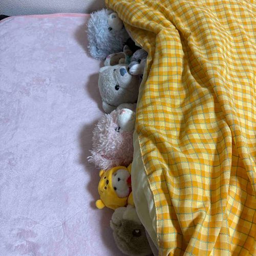 おやが仕事行って体調悪化させて帰ってきたから、ふわもこの家族たちが添い寝にきてくれたよ。
あれ？これだとおやが入るスペースがない…？