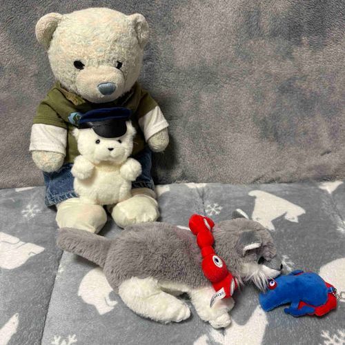 鼻がきくおおくんが、おやのバッグから新入りのふわもこを引っ張り出してきたよ。警戒したでかは警察モード。
これは…ミャクミャクだね。
万博生まれのおおくんとでかはミャクミャクに頭が上がらないみたい。おおくんは背中に乗せてあげてたよ。
この子はおやのバッグにつける予定だから、お布団にはつれていけないよ。