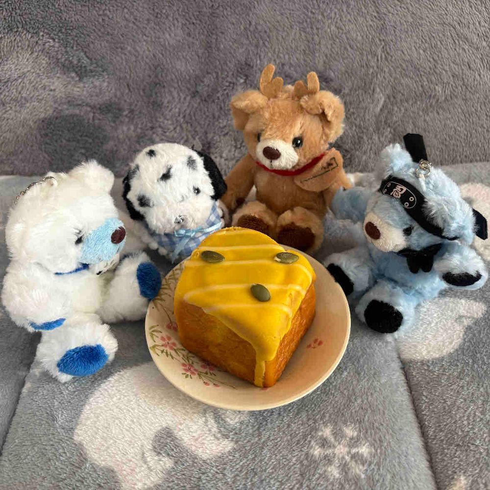 昨日はちあの9歳の誕生日だったよ🎂
お祝いにもらった抹茶ミルクパンとパンプキンパン🍞
大好きな家族に囲まれていい誕生日になったよ✨