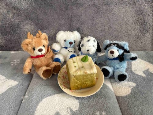 昨日はちあの9歳の誕生日だったよ🎂
お祝いにもらった抹茶ミルクパンとパンプキンパン🍞
大好きな家族に囲まれていい誕生日になったよ✨