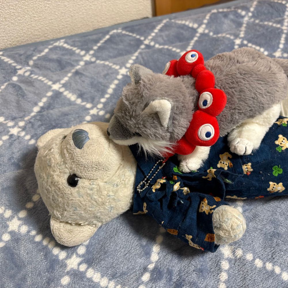 最近おやの帰りが遅くて怒ったけあは、自我のないぬいぐるみのフリしてたんだ。
そしたらおおくんが遊びにやってきたよ。
これじゃ自我ないフリできないね。おおくんとごろごろして遊んだよ。