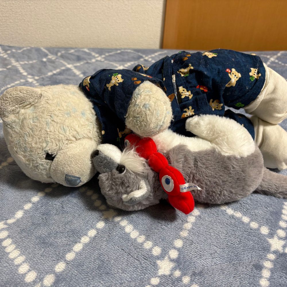 最近おやの帰りが遅くて怒ったけあは、自我のないぬいぐるみのフリしてたんだ。
そしたらおおくんが遊びにやってきたよ。
これじゃ自我ないフリできないね。おおくんとごろごろして遊んだよ。