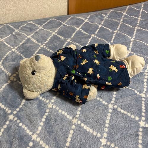 最近おやの帰りが遅くて怒ったけあは、自我のないぬいぐるみのフリしてたんだ。
そしたらおおくんが遊びにやってきたよ。
これじゃ自我ないフリできないね。おおくんとごろごろして遊んだよ。