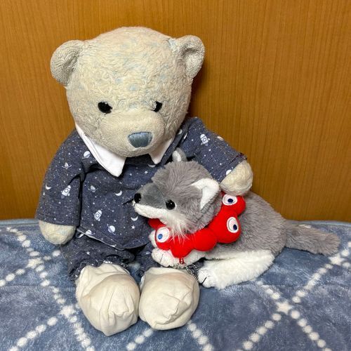 けあとおおくんはとても怒ってます。
けあの大ファンが昨日の投稿を見て、白雪姫の画像に加工して送ってきたんだ。
けあとおおくんはお姫様と王子様っていうより父と息子だよ。