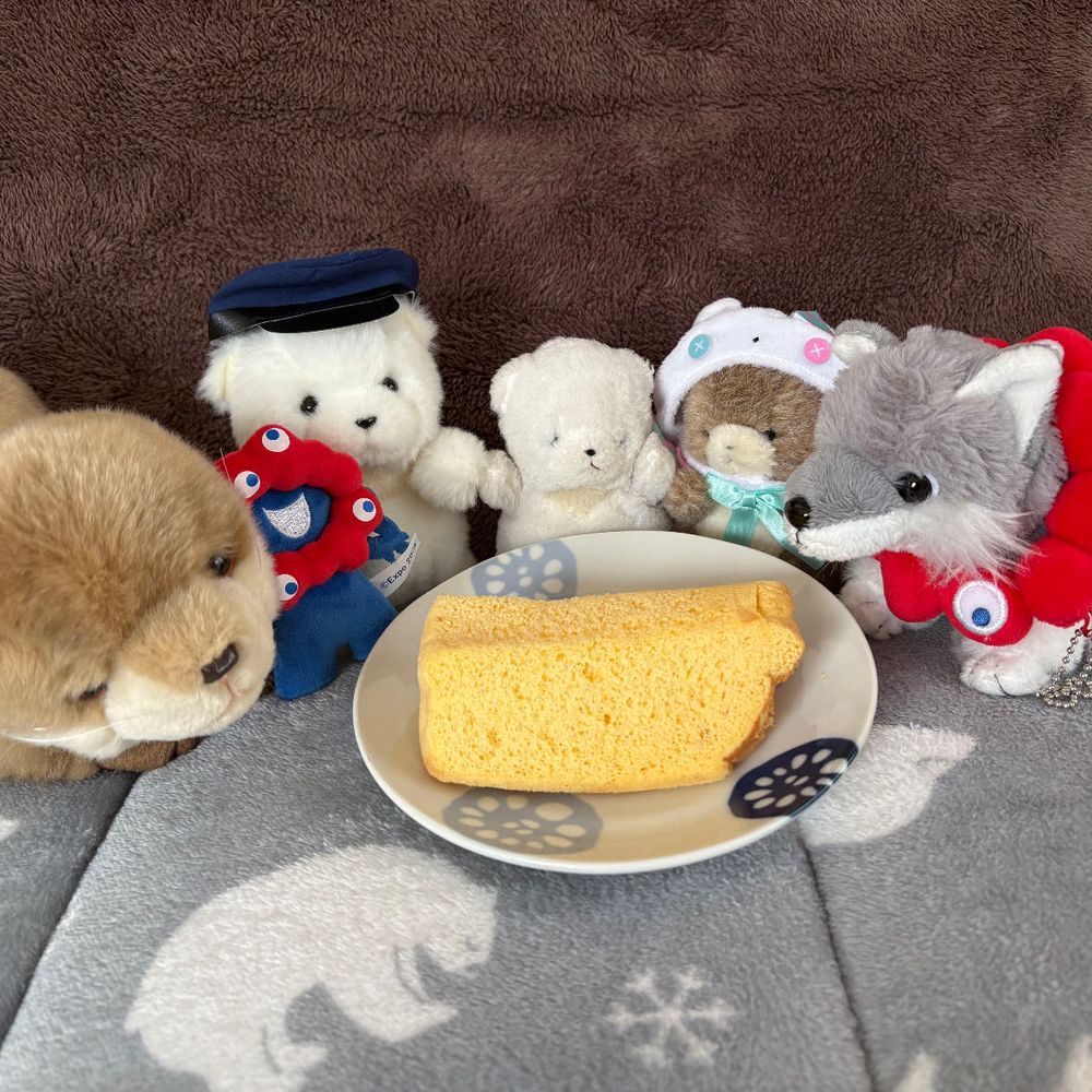 4/1はちびのたんじょうび！13さいになったぞ！
なかよしにおいわいされて　さいこうのたんじょうびだ！
さいごは　りょこうなかまの　けあちあに　いわってもらったぞ！