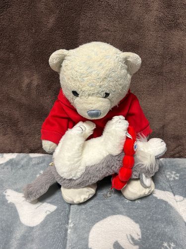 タイヘンなことがあったよ。
いつものようにおおくんのお腹を撫でてたら、お腹に穴が空いてることに気づいたんだ。1枚目、糸が出てるの見えるかな？
緊急手術をしてなんとか穴を塞いだよ。
2枚目は手術されたことに気付かず爆睡してるおおくん。
3枚目は起きていつものように甘えん坊してるおおくん。
手術は大成功。痛みもなかったみたいで安心したよ。