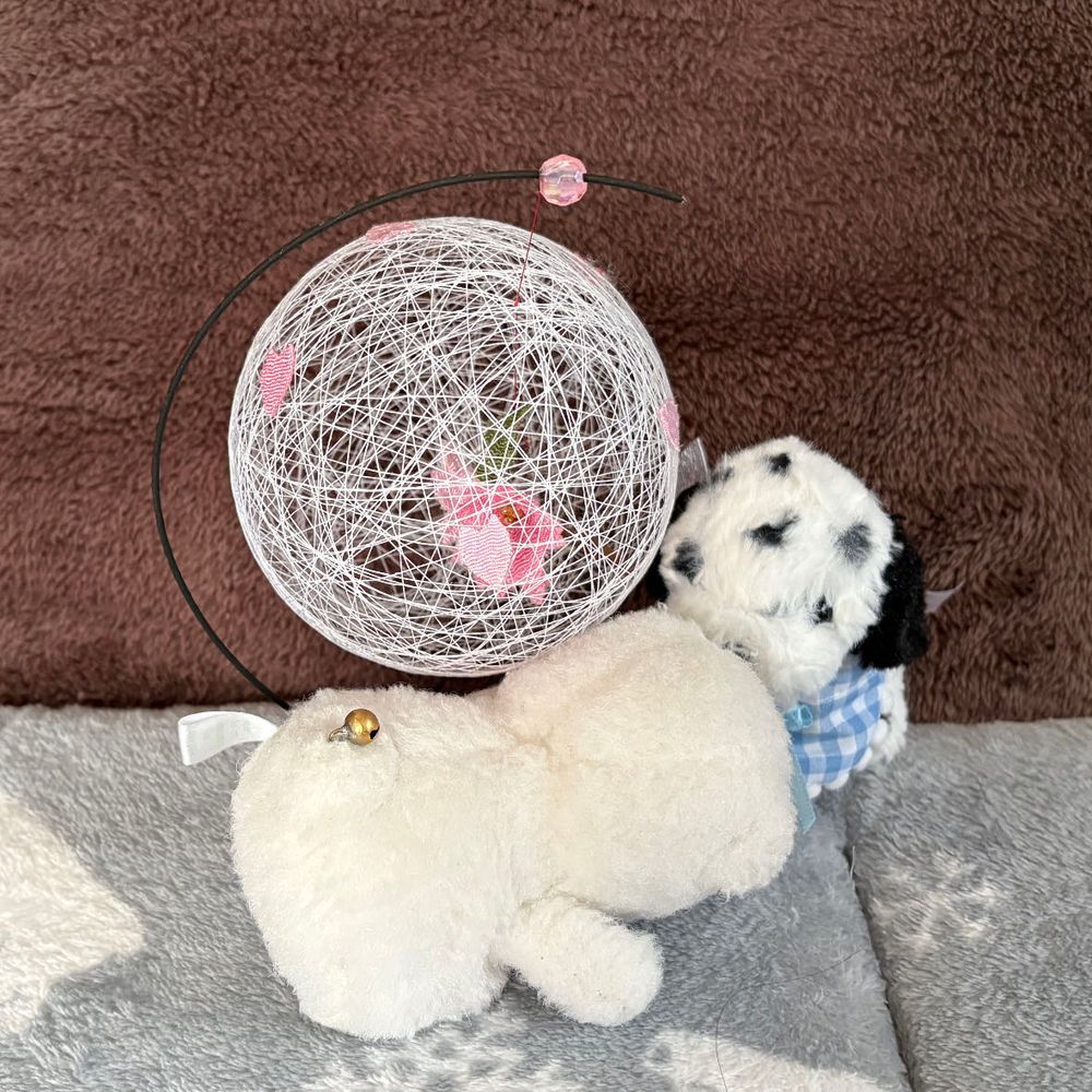 今年は花見に行けなかったから、おうちで花見してたよ🌸
そしたらちびがすごい勢いでやってきたの‼️
そのまま転んじゃったよ💦ちび、大丈夫❓怪我はない❓