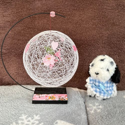 今年は花見に行けなかったから、おうちで花見してたよ🌸
そしたらちびがすごい勢いでやってきたの‼️
そのまま転んじゃったよ💦ちび、大丈夫❓怪我はない❓