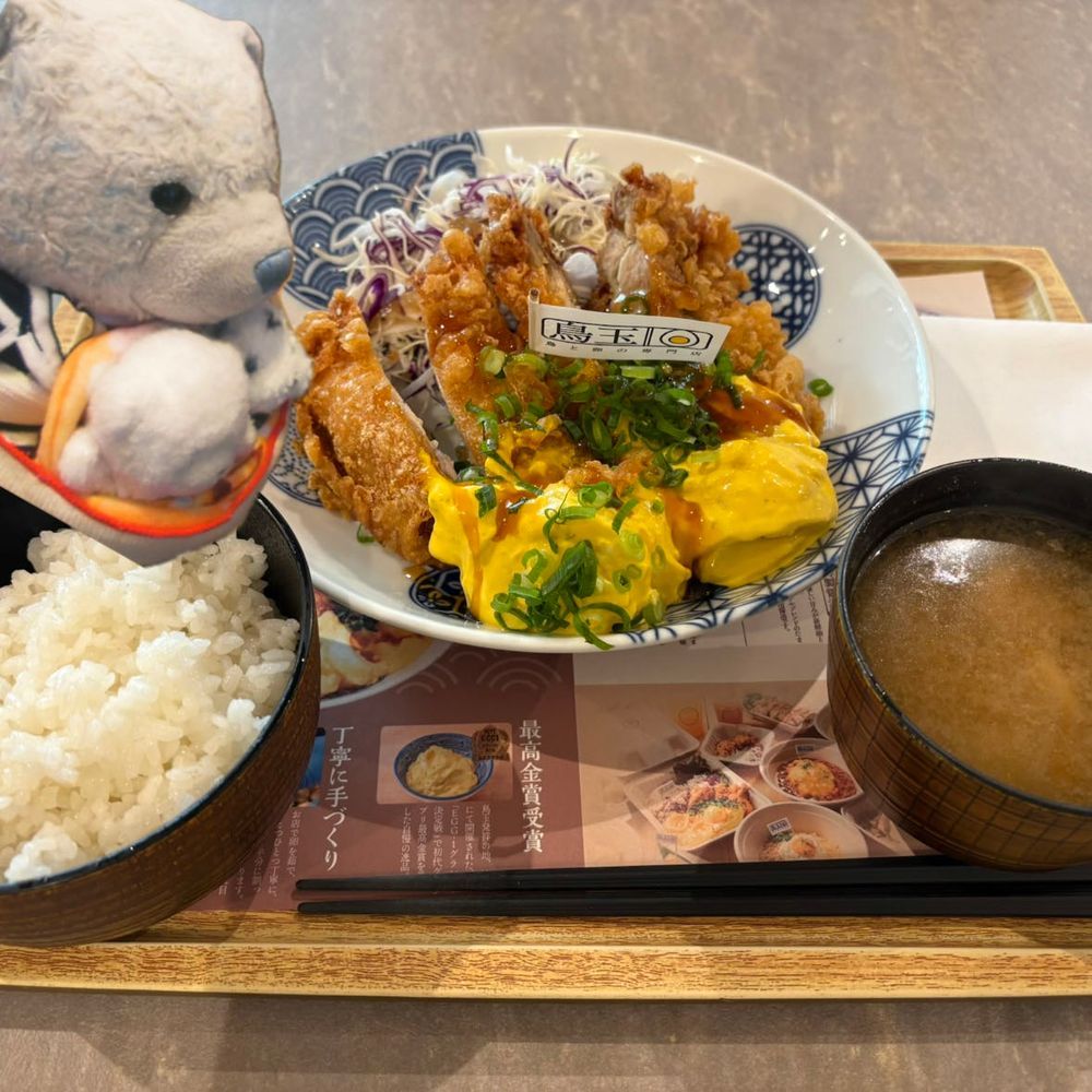 ベッドから落としたお詫びって言いながら、おやが２種類のわらび餅を買ってきたよ。両方ともけあがひとりじめ。
4枚目は今日食べたらしいチキン南蛮定食。けあはお留守番してたから味覚共有で楽しんだよ。写真は合成だよ。
仕方ない、許してあげよう。