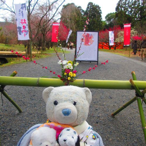 寿長生の郷は梅の名所。
いっぱい梅が咲いててキレイだったよ。
広大な敷地で梅が楽しめるのに、なんと入場料無料なんだ。すごくお得な施設だね。
