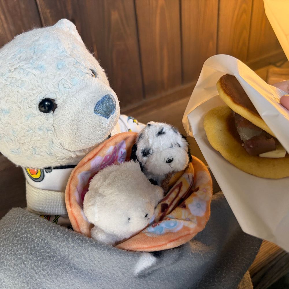 庭園を歩き疲れたけあたち。ちびは元気いっぱい。
疲れた体にはお菓子が一番。
ということでりんごサイダー、あもどら焼き、いちご大福を楽しんだよ。