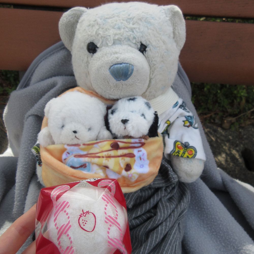 庭園を歩き疲れたけあたち。ちびは元気いっぱい。
疲れた体にはお菓子が一番。
ということでりんごサイダー、あもどら焼き、いちご大福を楽しんだよ。