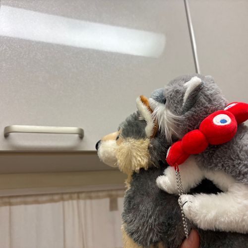 昨日は大きい地震があってびっくりしたよ。みんな大丈夫だった？
今日は朝から防災チームが活動してたよ。
1枚目は食器棚を点検するオオカミたち。
2枚目は地震が怖くて泣いてるぴよりんベアを慰めるくまたち。
3枚目は倒れた置き物をなおすくまたち。
4枚目はやることなくてだらけるけあ。