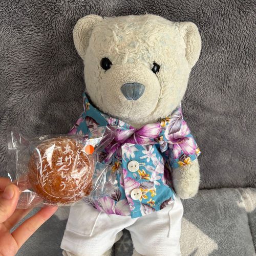 加美町宮崎地区で有名なお菓子屋さん、門眞菓子店で和菓子を買ってもらったよ。
ここはがんづきが有名なんだけど、売り切れてたからあげまんじゅう(カボチャ味)とちゃぼくさを買ったよ。
これがすごく美味しかったのに1個150円という驚異の安さ。
次行ったときはもっといっぱい買ってね。