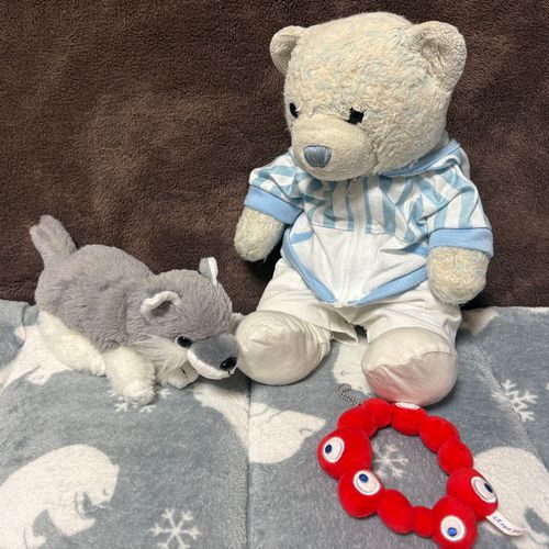 おおくんがミャクミャク外して怒ってたんだ。
どうしたのって聞いたら、ミャクミャクから卒業するって言われたよ。
何言ってるのって思って付けてあげたら、怒るのやめて大人しくなったよ。
ミャクミャク付けてなきゃダメだね。付けてた方が可愛いよ。