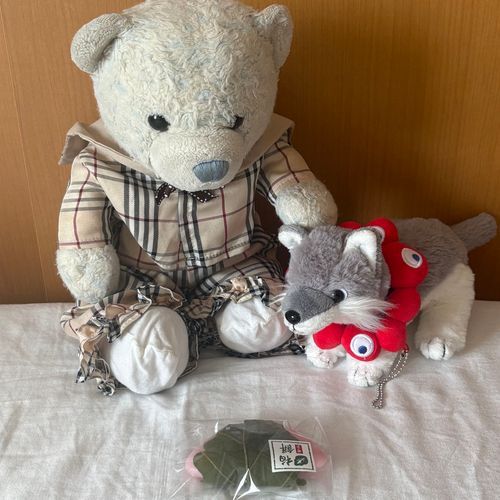 おおくんと一緒に柏餅を食べたよ。子どものおおくんに多めにあげたよ。
2枚目は紅白桜餅。オシャレな見た目に惹かれて買ってもらったよ。おおくんは桜餅よりけあと遊びたいモードだったよ。