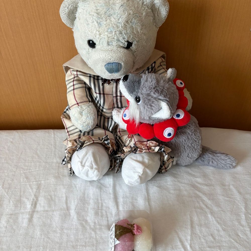 おおくんと一緒に柏餅を食べたよ。子どものおおくんに多めにあげたよ。
2枚目は紅白桜餅。オシャレな見た目に惹かれて買ってもらったよ。おおくんは桜餅よりけあと遊びたいモードだったよ。
