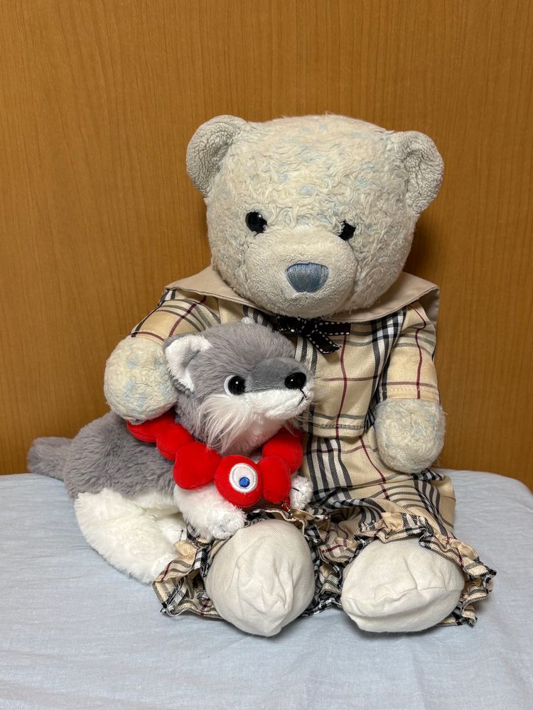 おおくんのミャクミャク取ったらすごく怒られたよ。
つい数日前は卒業するって言ってたのに不思議な子だ。
つけてあげたら機嫌直したから良かったよ。
けあの服の背中にあるクマのワッペンが気になるみたいで、ツンツンして遊んでたよ。