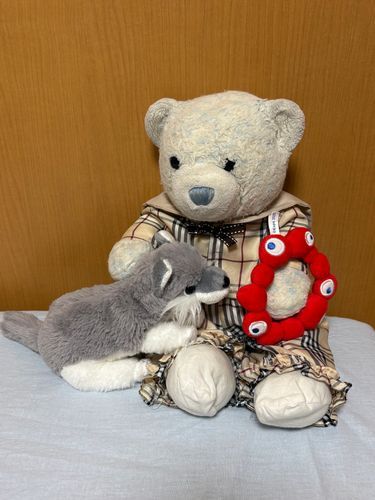 おおくんのミャクミャク取ったらすごく怒られたよ。
つい数日前は卒業するって言ってたのに不思議な子だ。
つけてあげたら機嫌直したから良かったよ。
けあの服の背中にあるクマのワッペンが気になるみたいで、ツンツンして遊んでたよ。