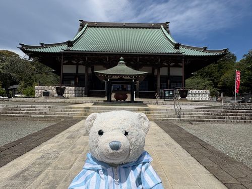 陸上観戦のついでに、箱根駅伝の名所の横にある遊行寺に行ってきたよ。
遊行寺は時宗の総本山。踊念仏のお寺だね。
おみくじは小吉…。なかなか大吉が引けないけあだよ。